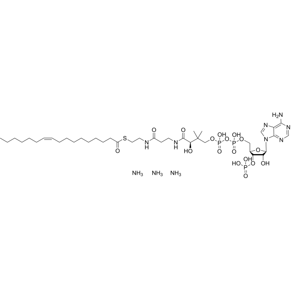 17:1(n7) Coenzyme A triammonium 1246304-40-4